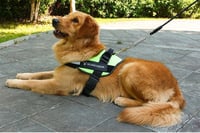 Reflective all-in-one No Pull Dog Harness