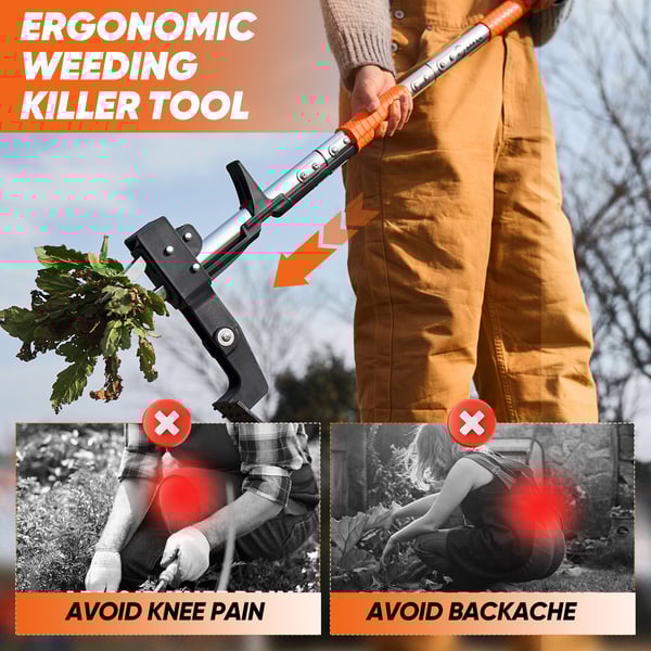 edc85446-e059-42f3-d8a8-8f4059cab700