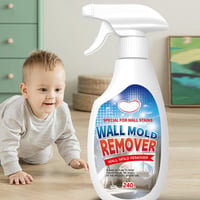 Fast Acting Anti-Mold Wall Cleaner Spray