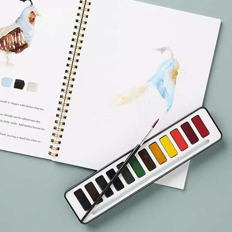 Watercolor Workbooks