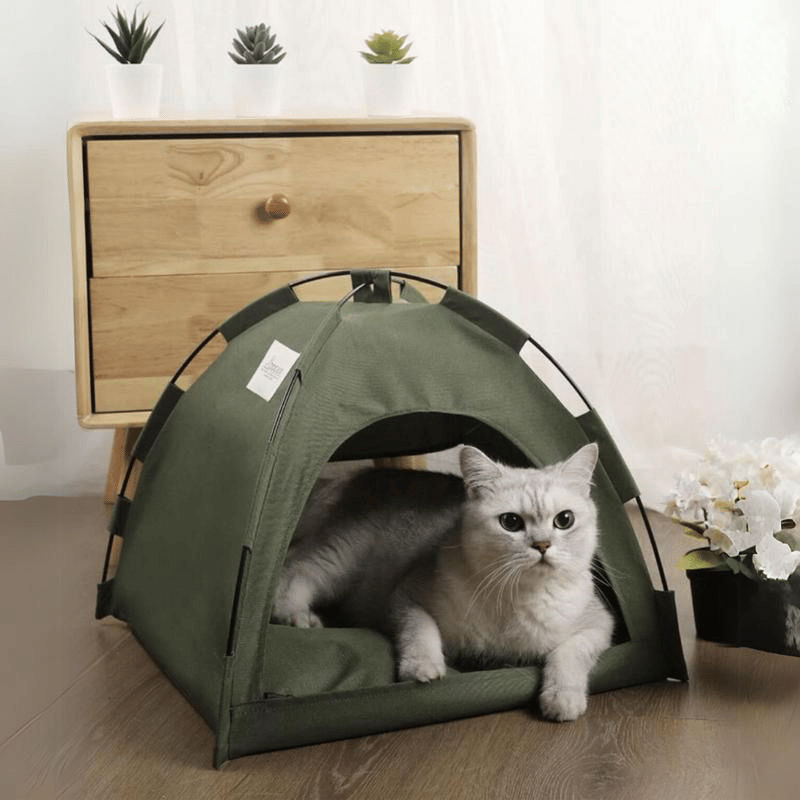 Pet Tent Bed