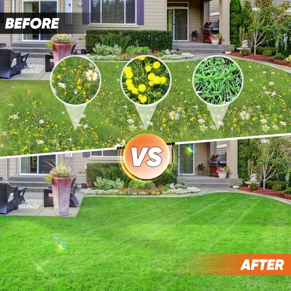 eed5678a-5ee6-4bb9-43e0-44cb3445ce00