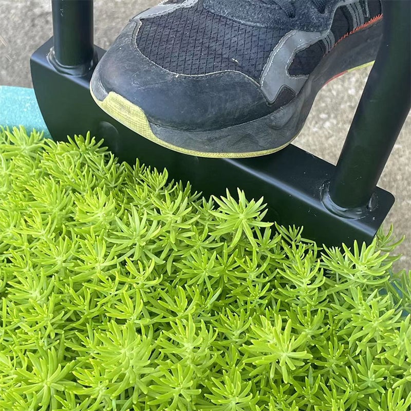 Half-moon lawn edger with T-handle