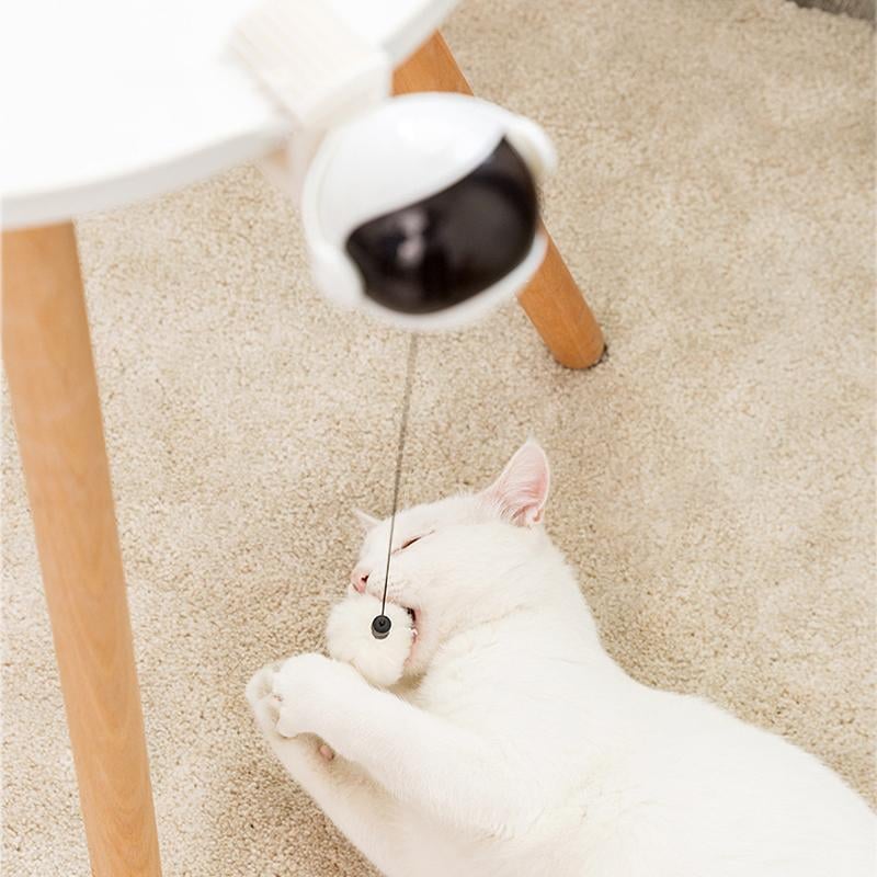 Self Playing Cat Toy