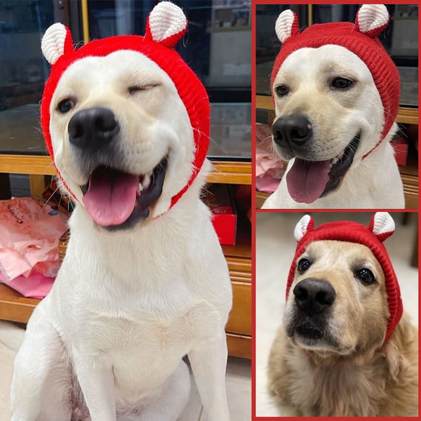 Dog Ear Muffs Noise-Protection Knitted Hat