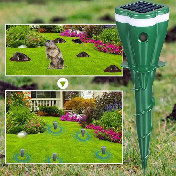 1_2663c933-cbda-4d08-9c38-4d5c904414c6