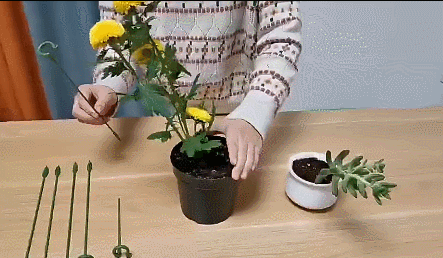 e76911ac8784c8521b2ae3dfc34bfb95bf1317e7afa4d76257a7b194c18415ab.gif