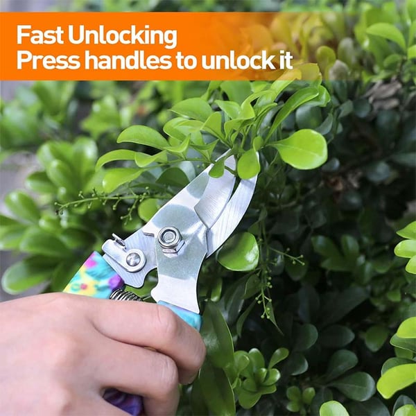 5_4b9feba2-c9da-4da0-b705-d8e572786889