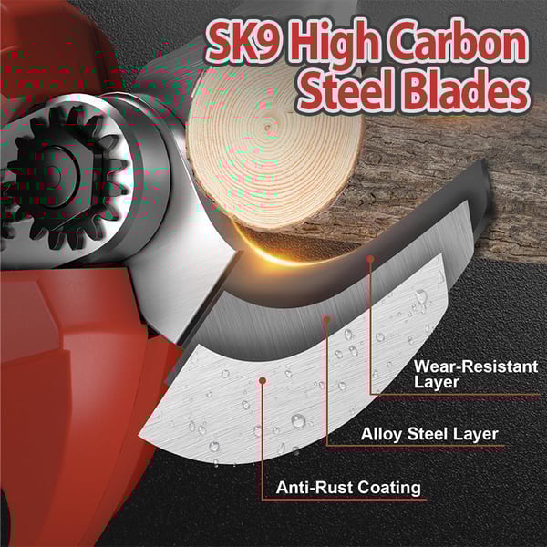 5_c8714558-7998-4822-96a9-c113c96a1447