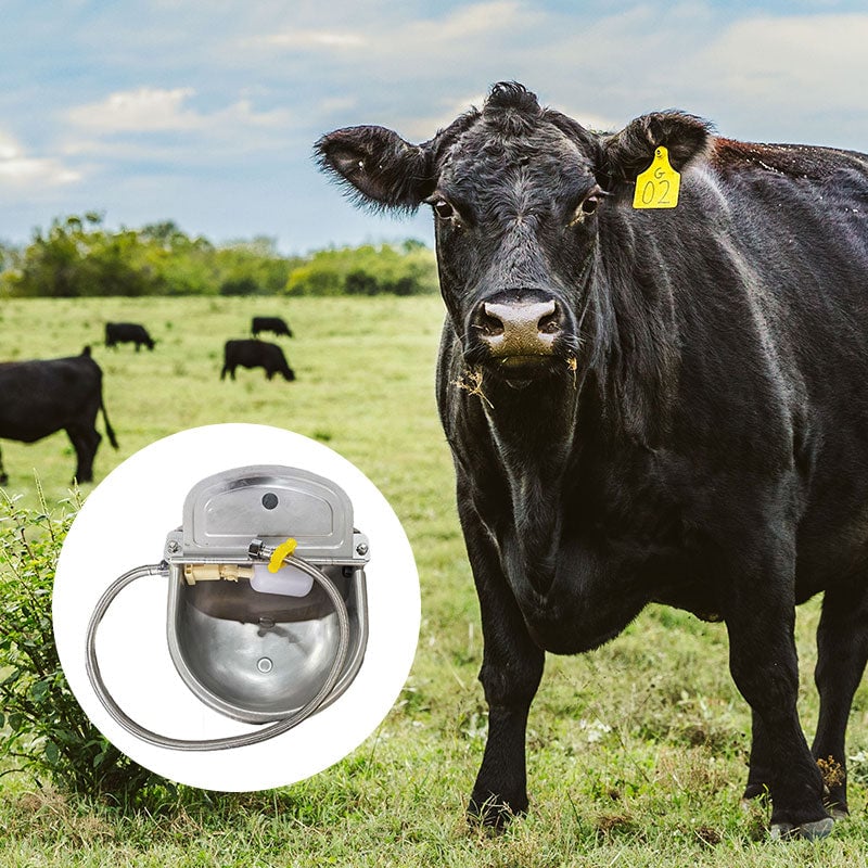 Livestock & Pet Drinking Bowls