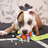Kauspielzeug für Hunde