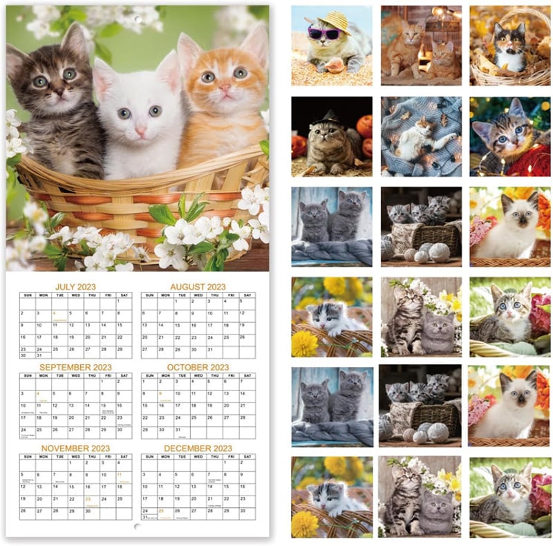 Cute Cat Wall Calendar