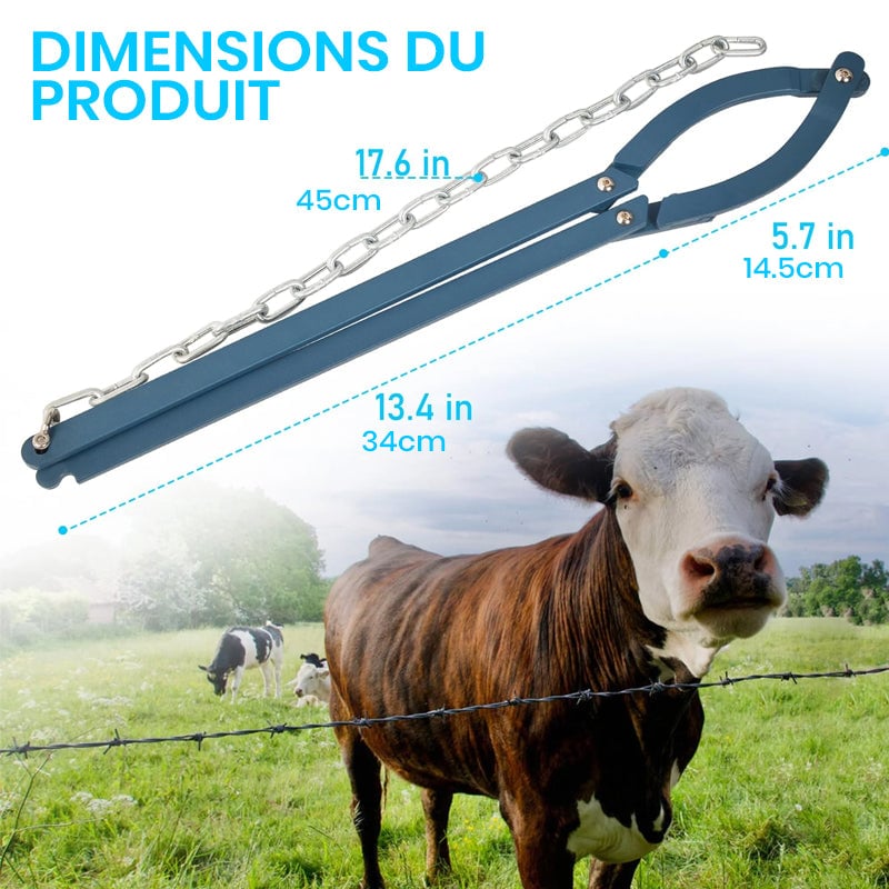 4_0c3a2f98-cf45-4992-892a-02b3be983a71