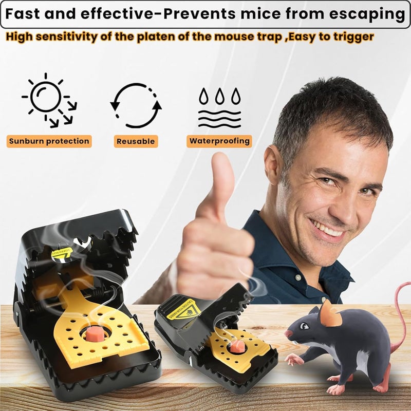 2_7ae5c35a-2fa0-4071-9375-4b6a883d199a