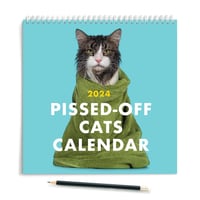 2025 Forbanna kattekalender