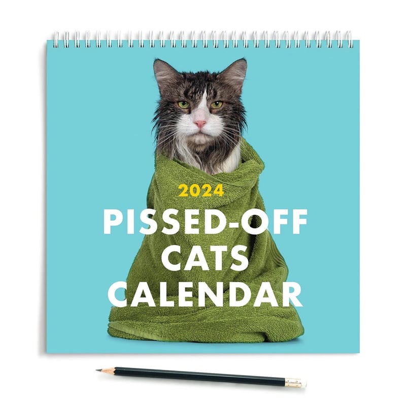 2025 Forbanna kattekalender