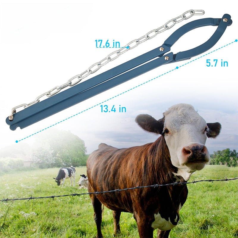 4cf76b13-f5f8-4698-3bb5-b5d51350d000