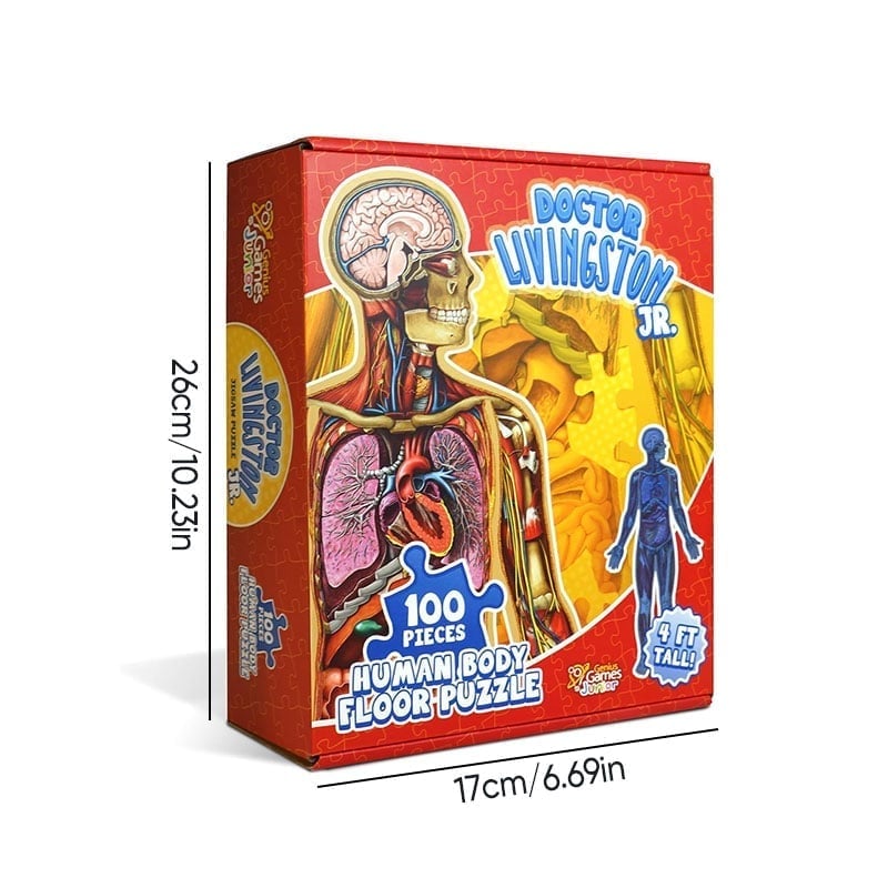 Anatomie-Puzzle für Kinder