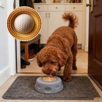 Pet Slow Feeder & Lick Bowl