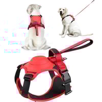 All-in-One Dog Harness and Retractable Leash Set