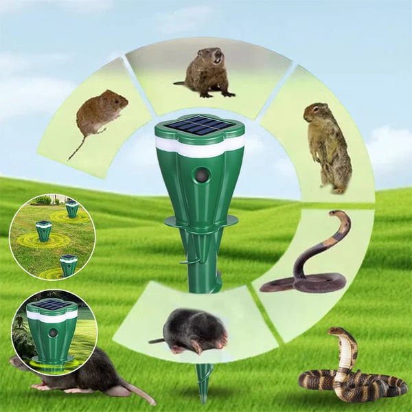 fm2_39fc41c6-a121-4020-8667-5da0c1172e13