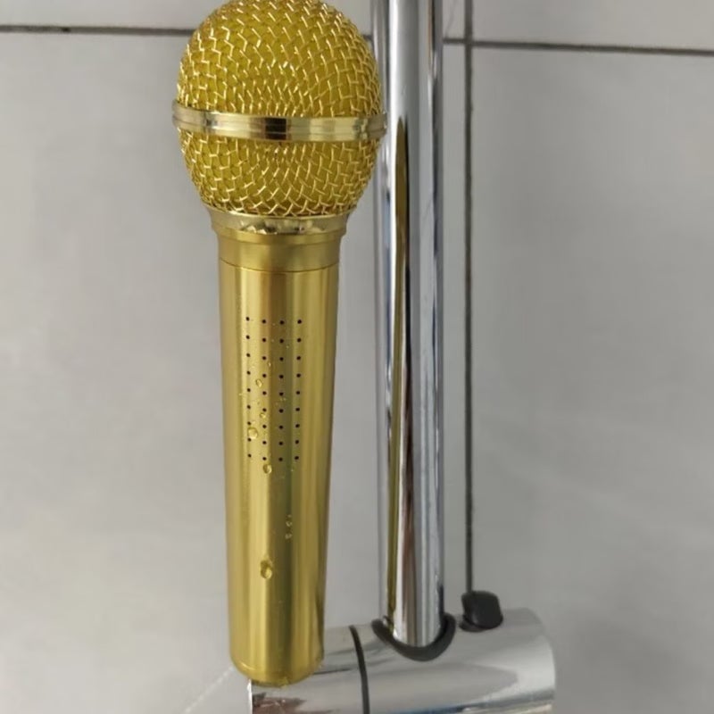 Microphone-Shaped Creative Showerhead