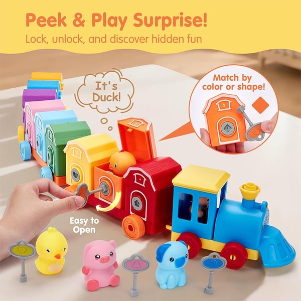 Matching & Sorting Activity Train Set