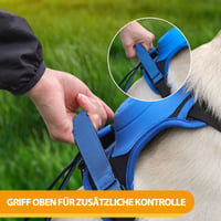 Hundeleine, mehrere Farben
