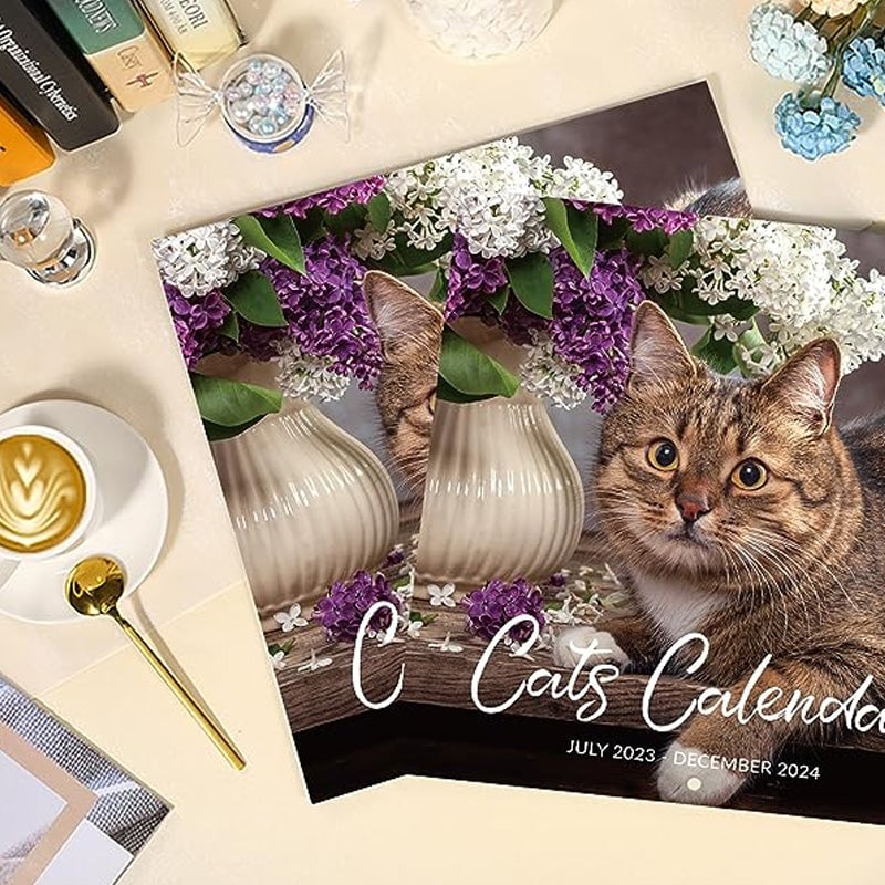 Cute Cat Wall Calendar