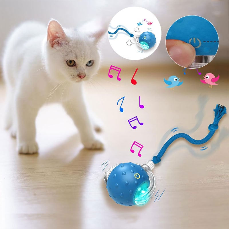 2_aaab48ee-cc86-439c-acf7-c504b5b441a3