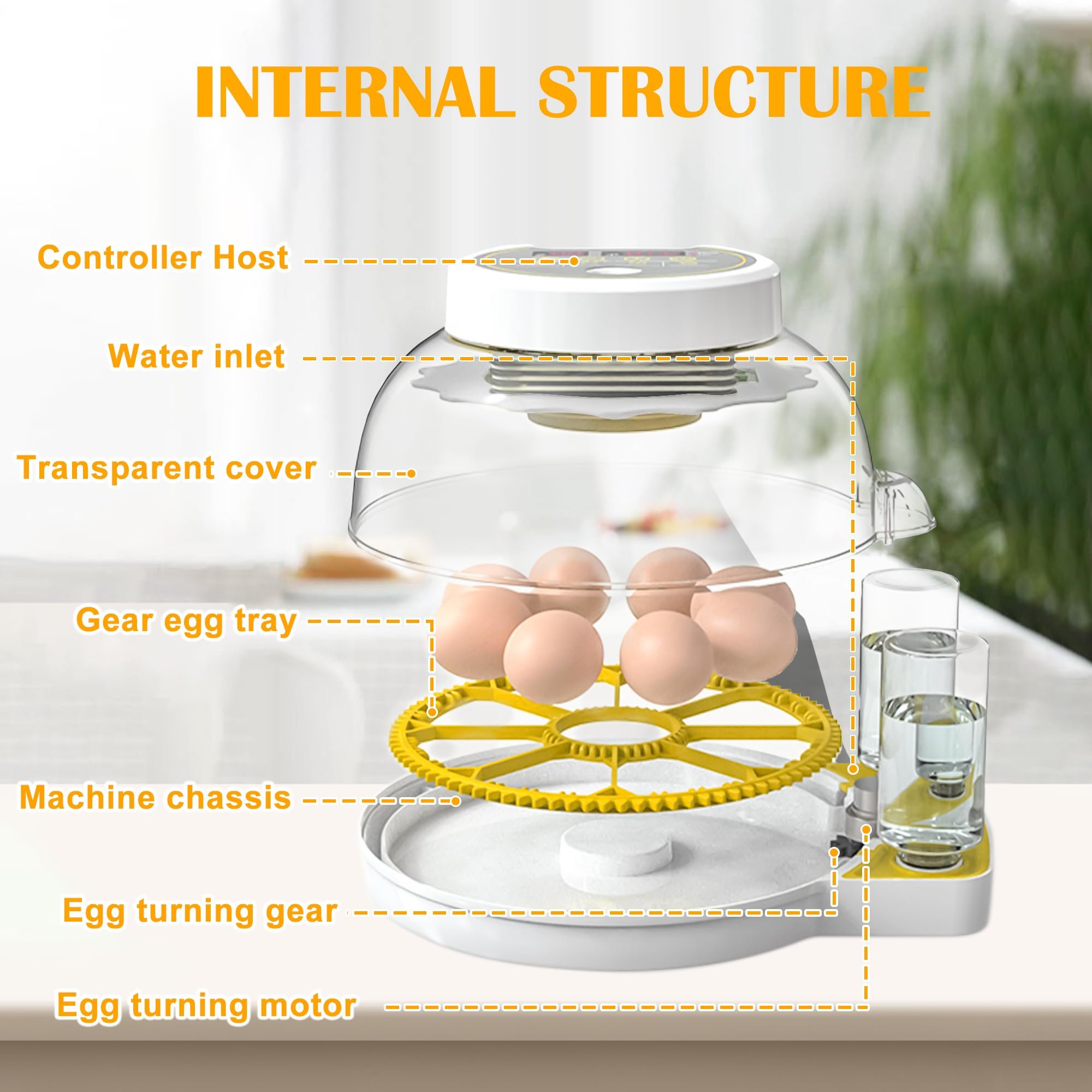 Egg Incubator