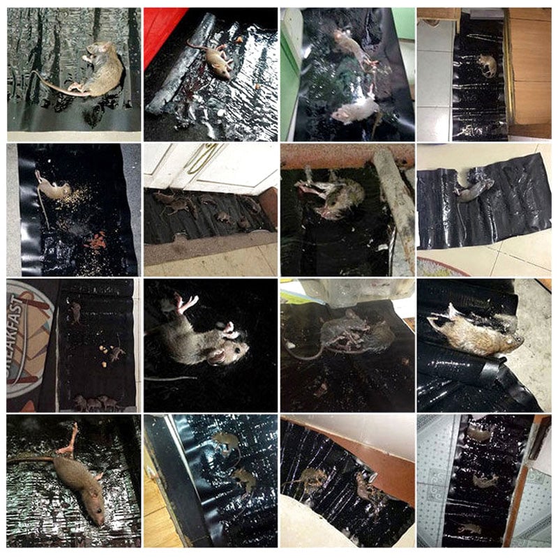 f5f10ef5-1592-42cd-ead3-6020f84a1f00