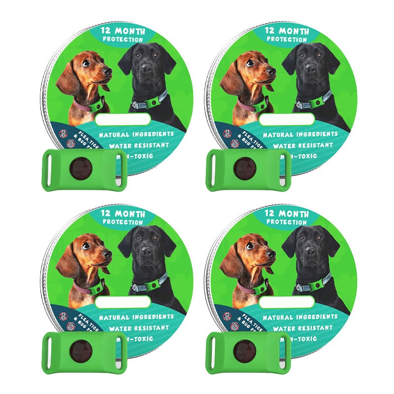 sku13_5c160e04-3a6c-4190-8efe-fcc978f80b29