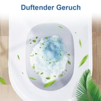 Desodorierender Toilettenreiniger