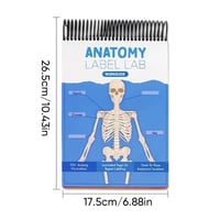 Anatomy Label Workbook