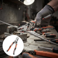 fm (2).jpg