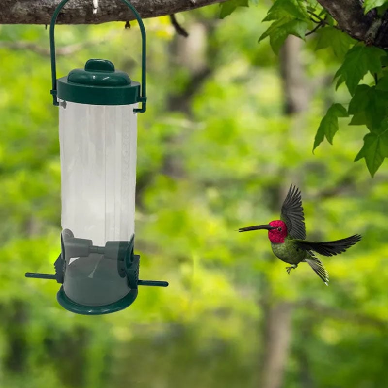 🐦Mangiatoia per uccelli a prova di scoiattolo