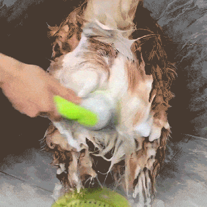 New 2 in 1 Pet Bath and Grooming Brush