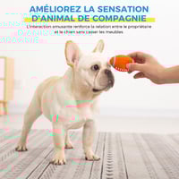 Jouet immortel pour mâcheurs agressifs