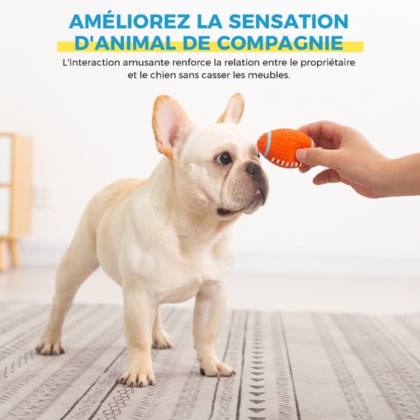 Jouet immortel pour mâcheurs agressifs