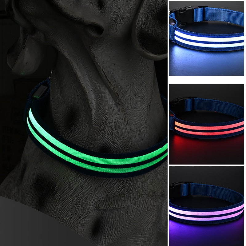 Dual Fiber Nighttime Luminous Dog Collar