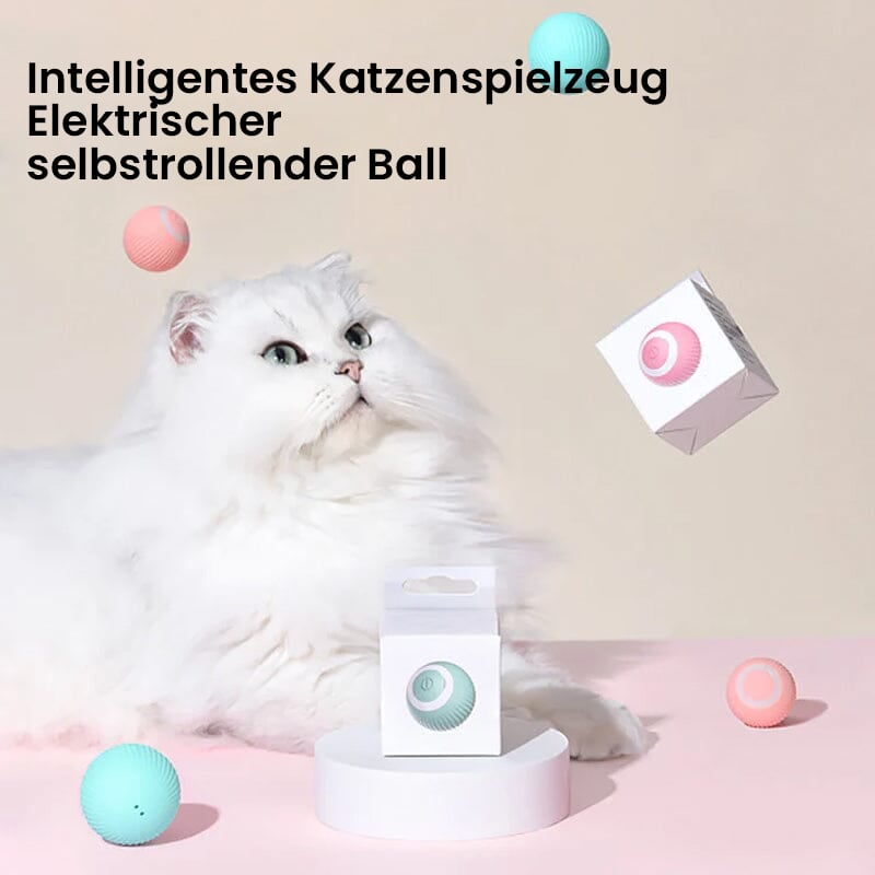 🐱Elektrisches Katzenspielzeug