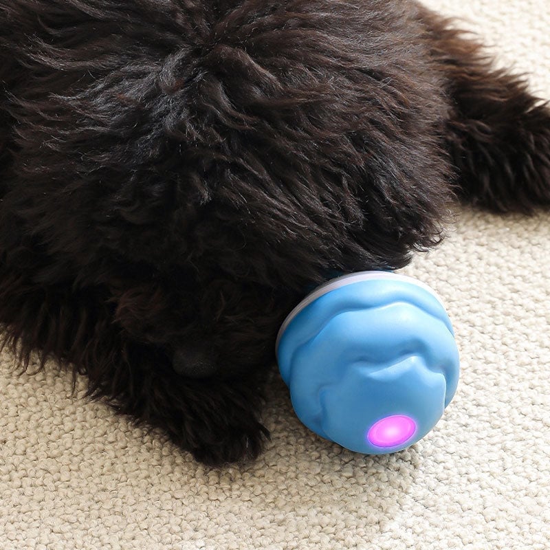 Interactive Smart Rolling Pet Ball