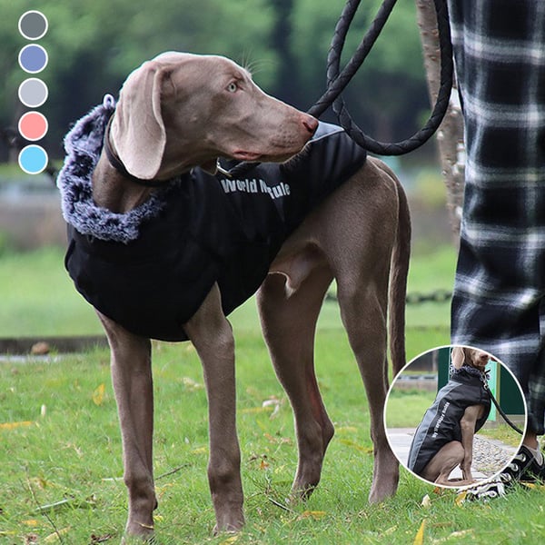 Pet Reflective Insulated Jacket