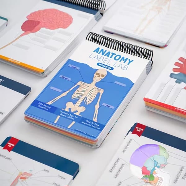 Anatomy Label Workbook