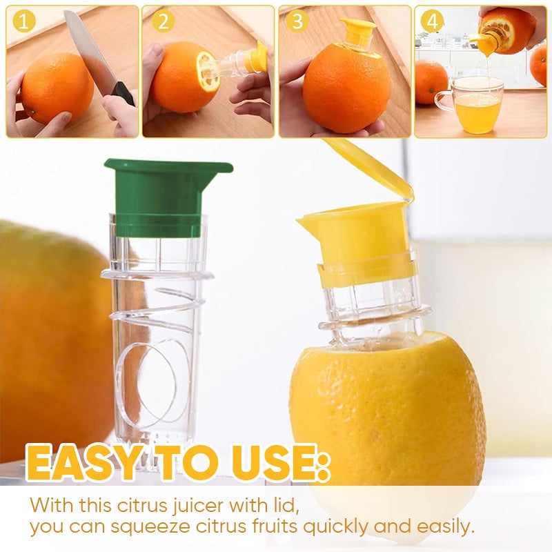 Mini manual fruit juicer