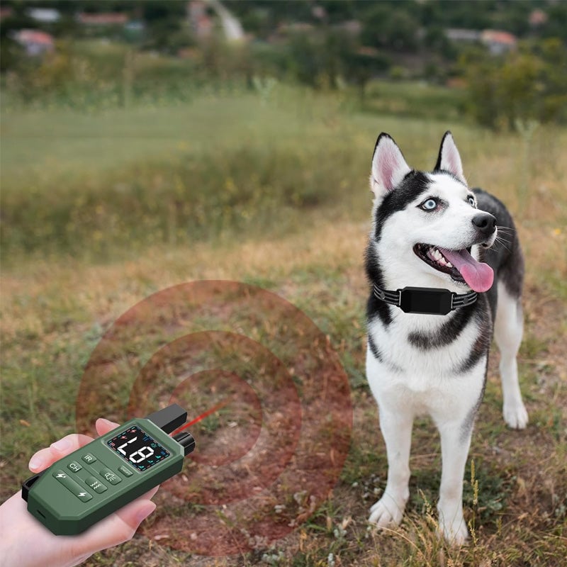 Dog Training Collar