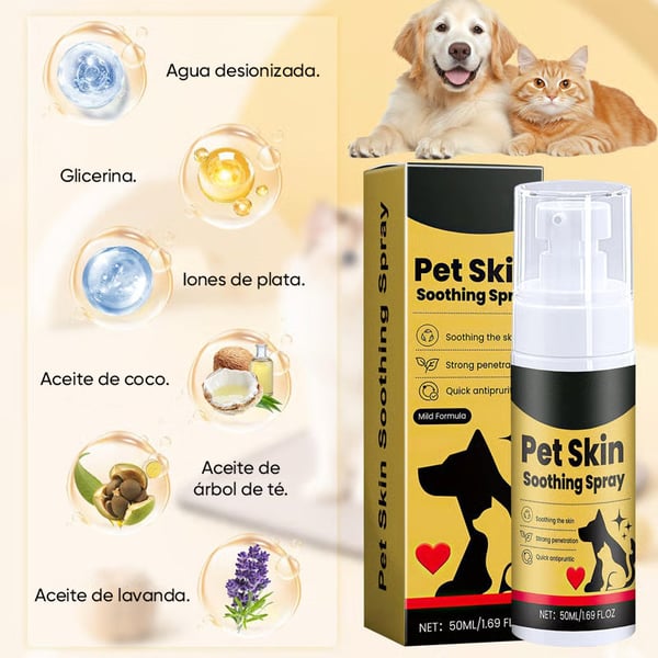 5_968f87f1-3787-4aba-9a58-68fe86ff8ebe