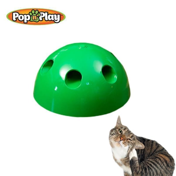 Das Guck-Guck-Spiel für die Katze