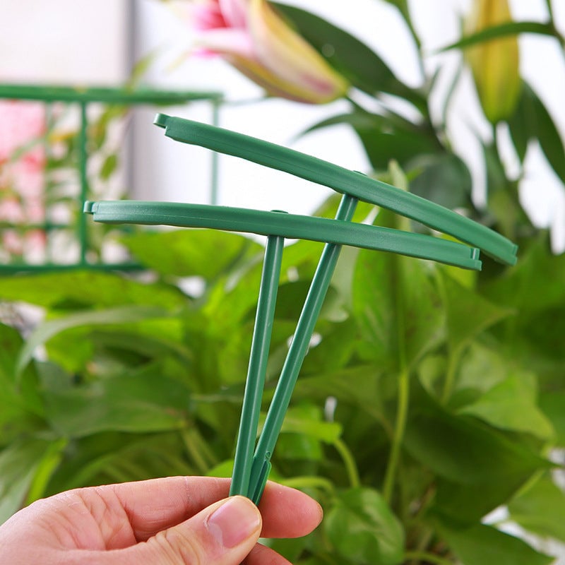 Steunkooien voor tuinplanten